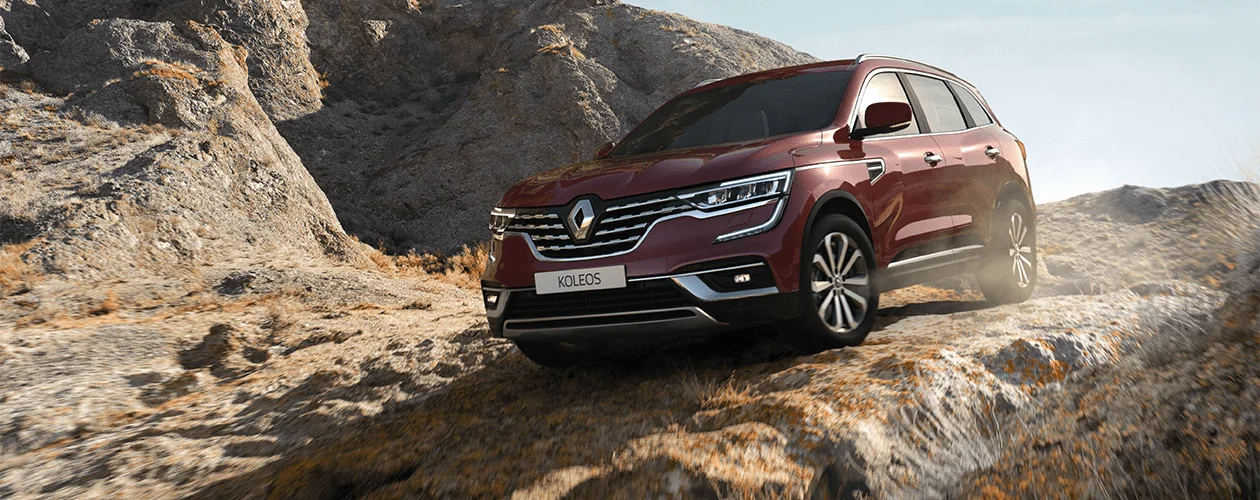 Koleos característica