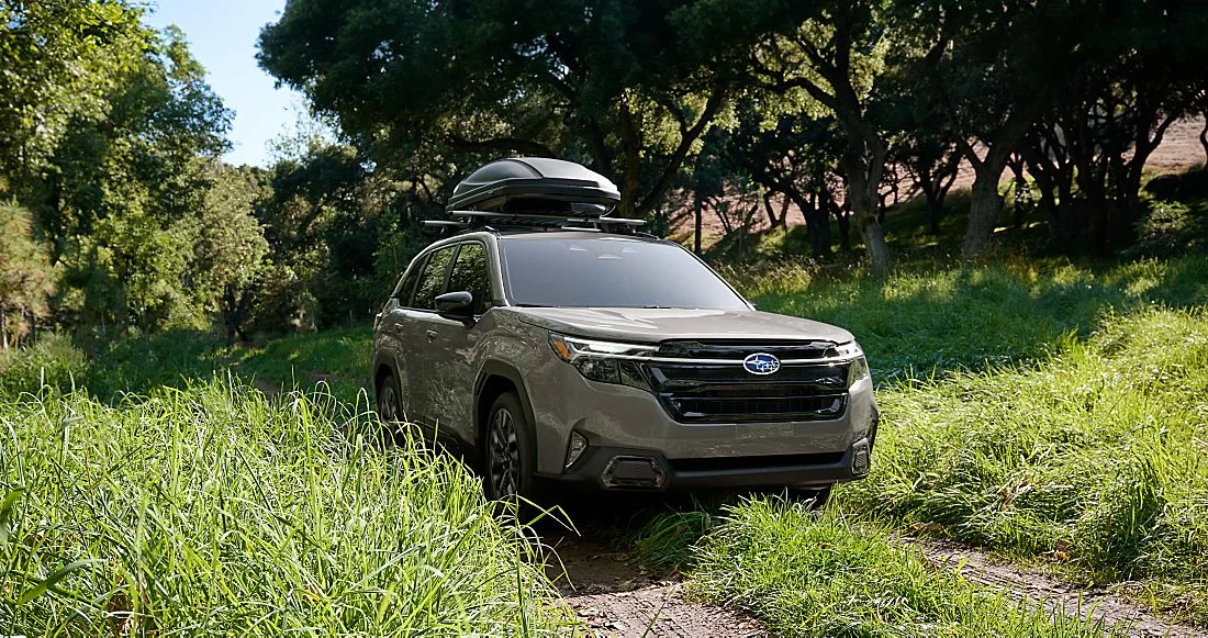 Forester característica